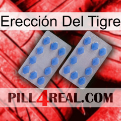 Erección Del Tigre 20